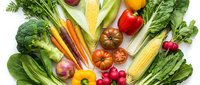 Fresh colorful vegetables arranged in a flat lay on white background, including corn, peppers, tomatoes, broccoli, carrots, and radishes.