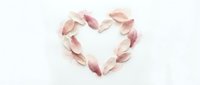 Delicate pink rose petals arranged in romantic heart shape on white background for wedding, Valentine's Day and love themed designs.