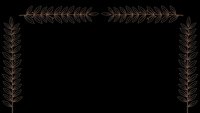 Elegant copper foliage border frame with delicate botanical branches on black background for luxury design projects and sophisticated branding materials.