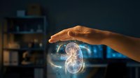 Human hand protecting glowing kidney hologram with medical data visualization for healthcare technology and organ protection concepts in modern clinic.