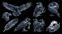 Raven bird silhouettes isolated on transparent background, ready for t-shirt design, clipart, stickers, sublimation and print-on-demand projects.