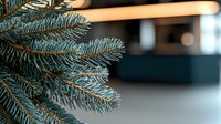 Close-up view of blue spruce pine needles with soft bokeh background creating festive winter holiday atmosphere. Natural evergreen branches in macro detail.