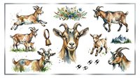 Goat illustrations in various poses and angles, including standing, jumping, and grazing positions with detailed hoofprints and botanical elements, isolated on white background for design use.