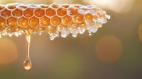 Fresh honeycomb with golden honey dripping in droplet form against blurred natural background, showing natural crystallization and hexagonal beeswax structure.
