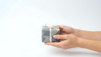 Female hands holding elegant silver gift box with white ribbon bow against clean white background for holiday celebrations and special occasions.