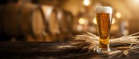 Golden beer glass with foam on wooden table with wheat stalks in warm brewery atmosphere with barrels in background for beverage advertising and hospitality design.