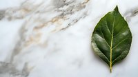 Fresh green citrus leaf on white marble background with golden veins, minimalist botanical composition for wellness, spa and natural cosmetics design.