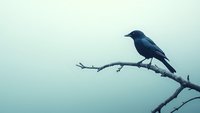 Silhouette of lone blackbird perched on bare winter branch against misty turquoise sky background creates moody minimalist nature scene.