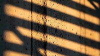 Warm sunlight streaming through window blinds creating dramatic striped shadows on textured wall surface during golden hour lighting conditions.