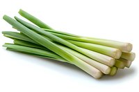 Fresh green lemongrass stalks isolated on white background, aromatic Asian cooking ingredient showing stems from root to tip. Culinary and herbal concept.