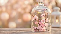 Pink cherry blossom branches preserved under glass dome cloche on wooden surface with warm bokeh lights creating romantic spring decor atmosphere.