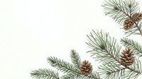 Winter holiday frame with evergreen pine branches and natural brown pinecones on clean white background for seasonal greeting cards and festive designs.