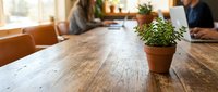 Small potted succulent plant on wooden conference table during business meeting with colleagues in background.