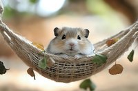 Adorable dwarf hamster relaxing in tiny rope hammock surrounded by autumn leaves, close-up portrait showing cute face and fluffy cheeks against soft blurred background.