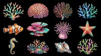 Colorful ocean reef clipart set with coral, clownfish, seahorse, starfish, shell, and anemone, isolated on transparent background, ready for stickers, t-shirt design, and print on demand.