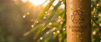 Sustainable bamboo product with recycling symbol in golden sunlight through green foliage. Eco-friendly renewable resource for environmental campaigns.