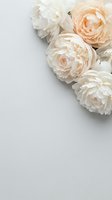 Soft cream and peach ranunculus flowers arranged on neutral background with copy space for wedding invitations, greeting cards and feminine branding projects.