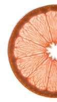Isolated grapefruit slice on white background showing detailed citrus segments and pith texture. Perfect for food, beverage, health, and wellness design projects.
