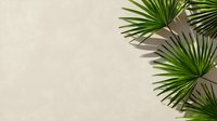 Fresh green palm leaves casting shadows on beige background with copy space. Natural minimal composition for wellness, spa and tropical design.