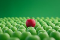 Red apple standing out among rows of green apples on green background, representing uniqueness, leadership and differentiation in business concept.