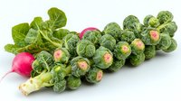 Fresh brussels sprouts on stalk with bright red radish against white background, showcasing natural organic produce for healthy eating and cooking concepts.