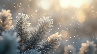 Frosty pine branches covered in morning frost with soft bokeh lights and falling snow creating magical winter atmosphere. Perfect for seasonal greeting cards.