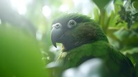 Green parrot with large eye in lush tropical forest, soft bokeh background creates dreamy atmosphere for wildlife photography.