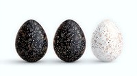 Decorative Easter eggs with speckled pattern in black and white colors with gold dots on white background, minimal holiday composition for spring celebration.