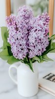 Fresh lilac flowers in full bloom arranged in white ceramic pitcher on marble surface, soft natural lighting creates romantic spring atmosphere.