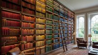 A vast library wall filled with colorful leather-bound books arranged by color gradient from red to blue, featuring a wooden ladder and comfortable seating area by bright windows for reading and study.