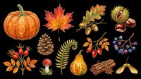 Autumn nature clipart set with pumpkin, maple leaf, acorns, mushroom, berries, fern, and cinnamon on transparent background, ready for seasonal t-shirt and sticker designs.