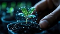 Young green plant seedling in pot surrounded by glowing magical particles and sparkles against dark background, representing growth, innovation and sustainability.