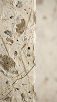 Handmade paper texture with natural plant fibers, leaves and organic materials embedded in cream colored artisan paper for craft projects.