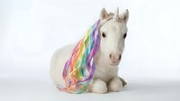 White unicorn plush toy with rainbow mane isolated on white background for children's products, fantasy themes, and magical designs.