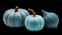 Three blue-teal pumpkins of varying sizes isolated on transparent background, ready for fall harvest designs, stickers, t-shirts, sublimation, and print on demand projects.
