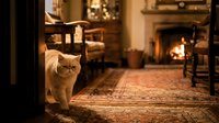 Fluffy orange cat walking on vintage rug in cozy living room with warm fireplace glow and rustic furniture creating homey atmosphere for pet lifestyle content.