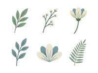 Botanical illustrations featuring isolated leaves and flowers in muted tones on white background, suitable for design projects, stationery, and digital applications.