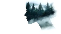 Female profile silhouette with double exposure effect showing misty forest and pine trees, representing connection with nature and inner peace. Creative portrait concept.