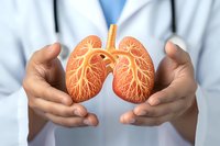 Medical professional holding anatomical model of human lungs showing detailed bronchial tree structure against white medical coat background. For healthcare education.
