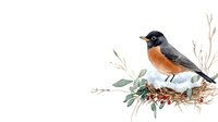 Small songbird with orange breast perched on winter branch with pine cone and foliage, isolated on white background for nature designs.