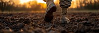 Walking boots on freshly plowed soil at sunset, low angle view showing textured earth and golden sunlight through silhouetted trees in background.