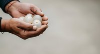 Male hands holding white eggs, close-up shot showing care and agriculture. Suitable for farming, food production, nutrition, and sustainability concepts.