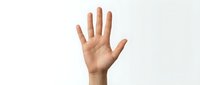 Open hand gesture showing palm and five fingers against clean white background for communication and greeting concepts.