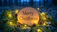 Wooden slice with Merry Christmas text surrounded by glowing fairy lights, pine cones, and frosty evergreen branches in a festive winter setting.