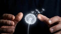 Hands protecting glowing dandelion with electric sparks against dark background symbolizing care, protection and energy transformation.