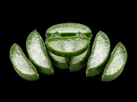 Aloe vera plant sliced into fresh green segments showing translucent gel interior, isolated on transparent background. Ready for wellness, skincare, and botanical design projects including print-on-demand and sublimation.