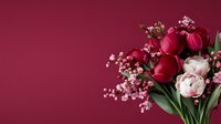 Pink and red tulips with delicate baby's breath flowers arranged on burgundy background, creating romantic spring composition with copy space.