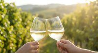 Couple toasting with white wine glasses at vineyard during golden hour sunset with rolling hills and grapevines in background for celebration and romance.