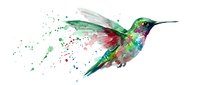 Colorful hummingbird with vibrant watercolor splashes and paint splatters on white background, artistic bird illustration for creative projects.