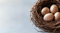 Speckled eggs nestled in natural brown twigs nest against soft blue background, selective focus with copy space for spring and Easter designs.